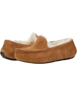 UGG Kids Ascot (Little Kid/Big Kid) | Slippers