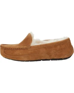 UGG Kids Ascot (Little Kid/Big Kid) | Slippers -Daily Shoes Shop 71BzGo2q6xL. AC SR736920